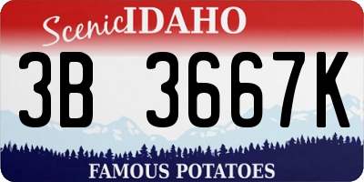 ID license plate 3B3667K