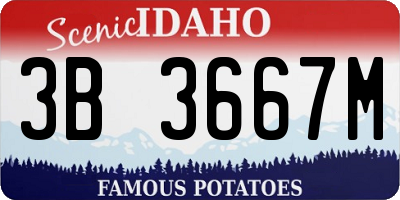 ID license plate 3B3667M