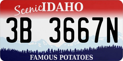 ID license plate 3B3667N