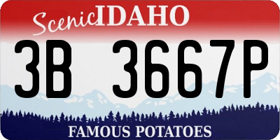 ID license plate 3B3667P