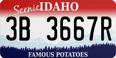 ID license plate 3B3667R