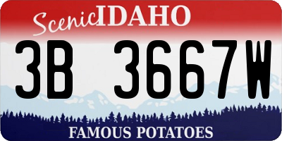 ID license plate 3B3667W