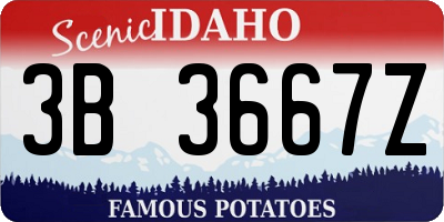 ID license plate 3B3667Z