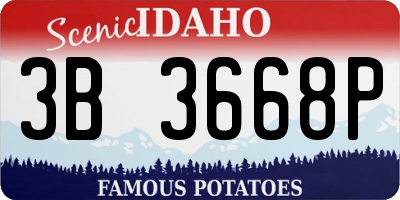 ID license plate 3B3668P