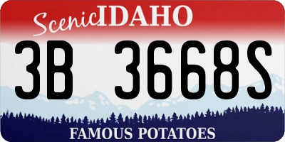 ID license plate 3B3668S