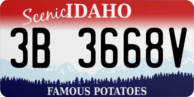 ID license plate 3B3668V