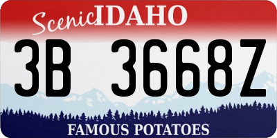 ID license plate 3B3668Z