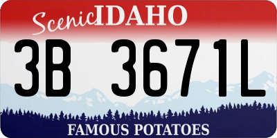 ID license plate 3B3671L