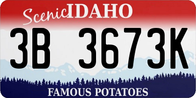 ID license plate 3B3673K