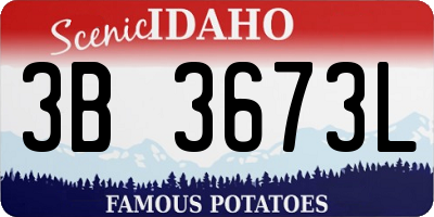 ID license plate 3B3673L