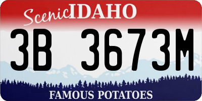 ID license plate 3B3673M