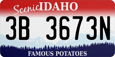 ID license plate 3B3673N