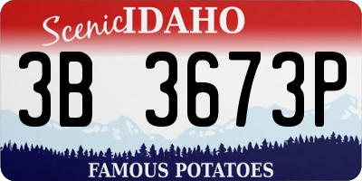 ID license plate 3B3673P
