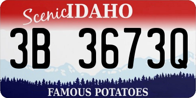 ID license plate 3B3673Q