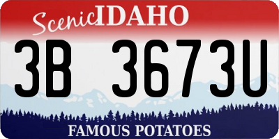 ID license plate 3B3673U