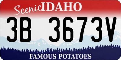 ID license plate 3B3673V