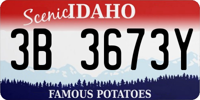 ID license plate 3B3673Y
