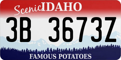 ID license plate 3B3673Z
