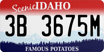 ID license plate 3B3675M
