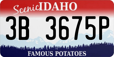 ID license plate 3B3675P
