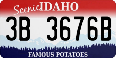 ID license plate 3B3676B