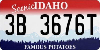 ID license plate 3B3676T