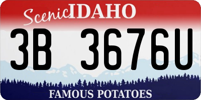 ID license plate 3B3676U