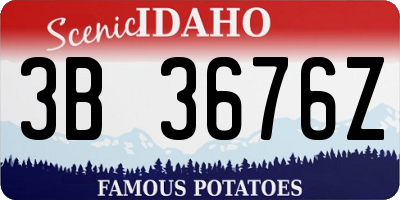 ID license plate 3B3676Z