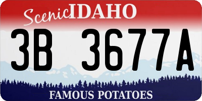 ID license plate 3B3677A