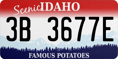ID license plate 3B3677E