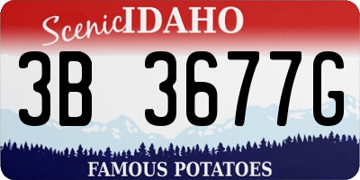 ID license plate 3B3677G