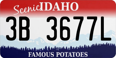 ID license plate 3B3677L