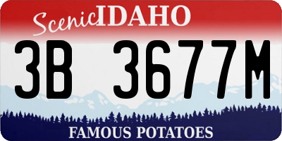 ID license plate 3B3677M