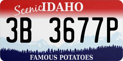ID license plate 3B3677P