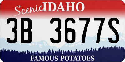 ID license plate 3B3677S