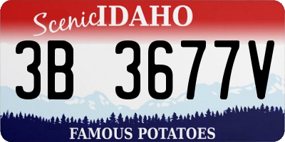 ID license plate 3B3677V