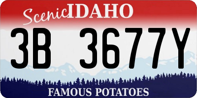 ID license plate 3B3677Y