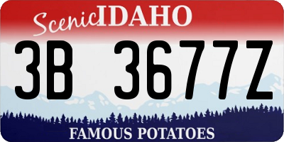 ID license plate 3B3677Z