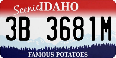 ID license plate 3B3681M