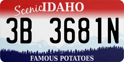 ID license plate 3B3681N