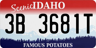 ID license plate 3B3681T
