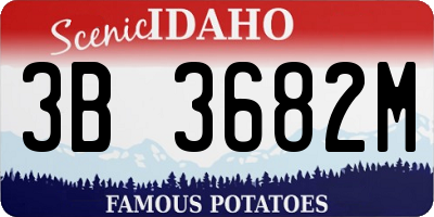 ID license plate 3B3682M