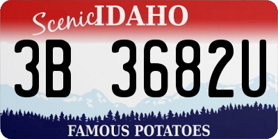 ID license plate 3B3682U