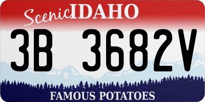ID license plate 3B3682V