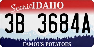ID license plate 3B3684A
