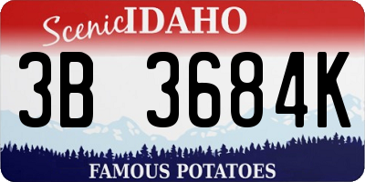 ID license plate 3B3684K