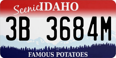 ID license plate 3B3684M