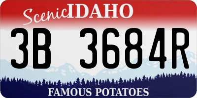 ID license plate 3B3684R