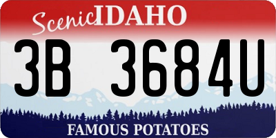 ID license plate 3B3684U