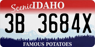 ID license plate 3B3684X